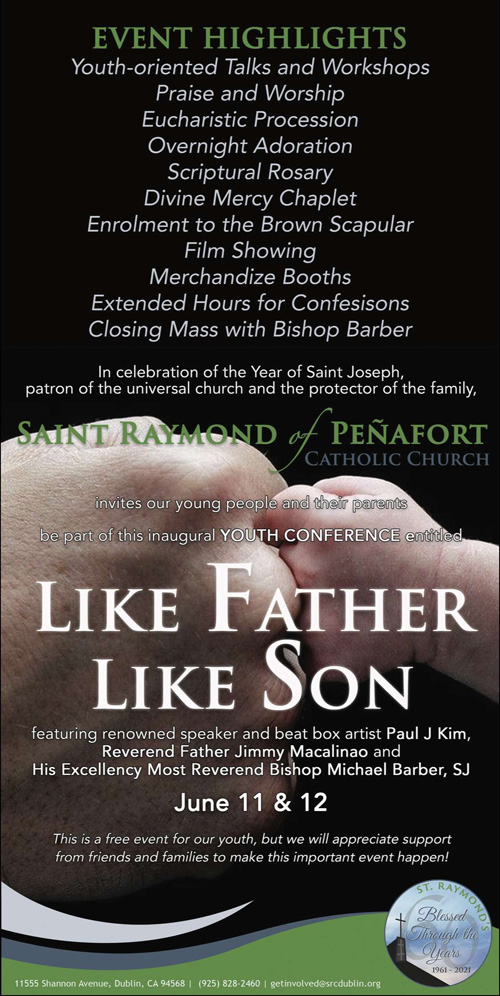 st-raymond-catholic-church-in-dublin-youth-conference-like-father